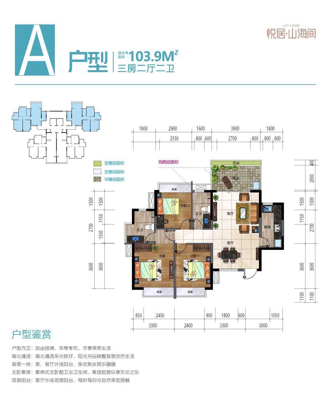 A户型