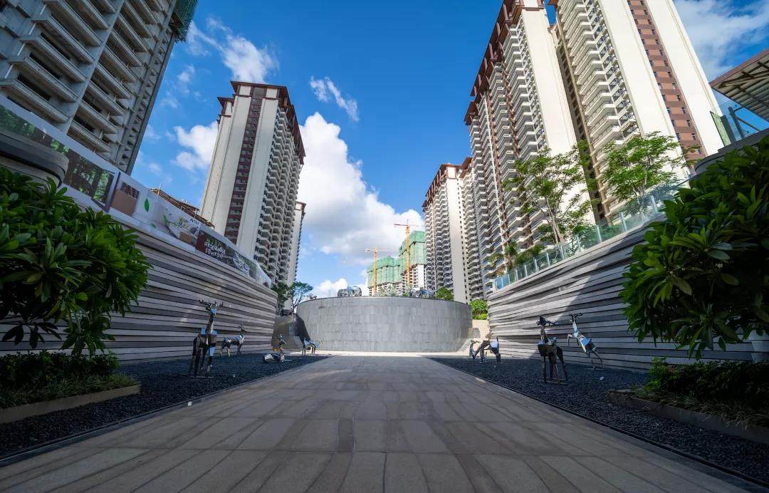 实景图