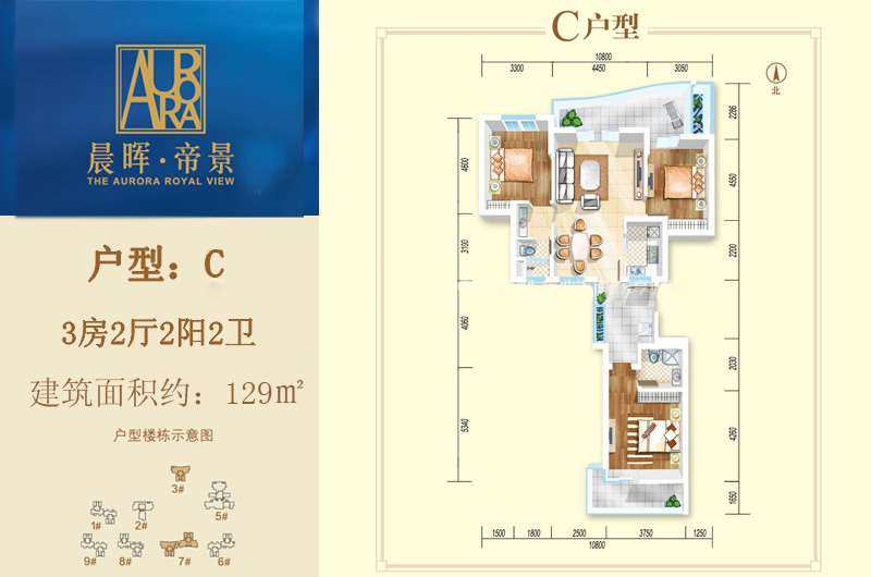 C户型