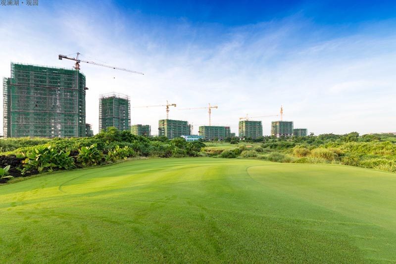 实景图