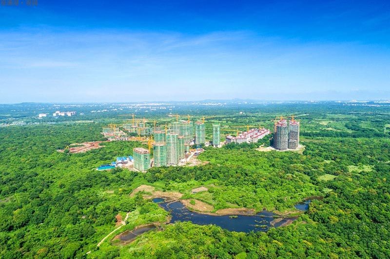 实景图