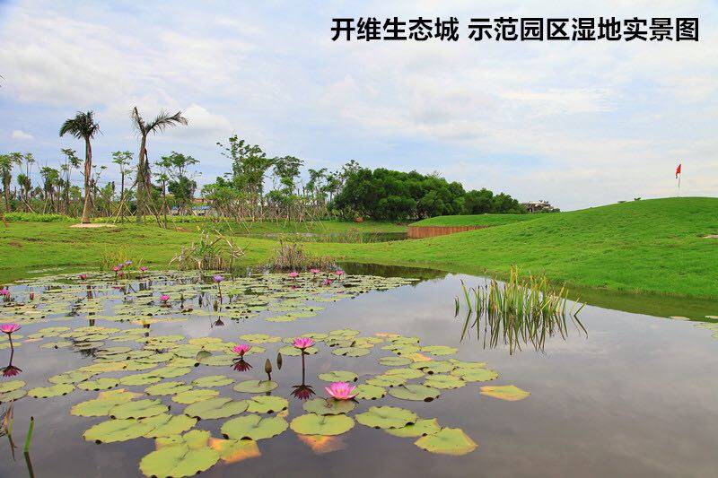 实景图