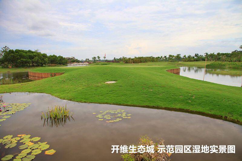 实景图