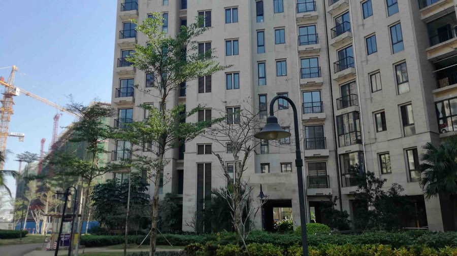 实景图