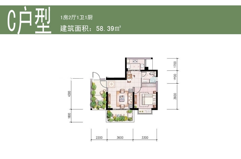 C户型