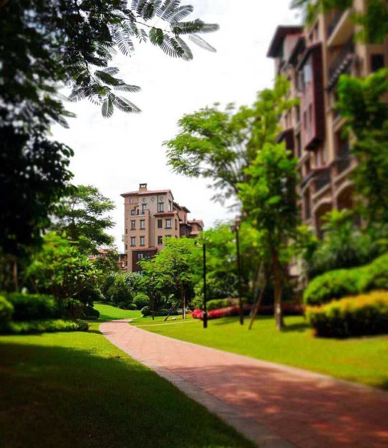 实景图