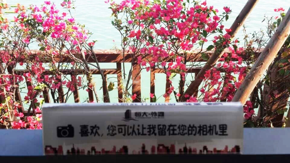 实景图
