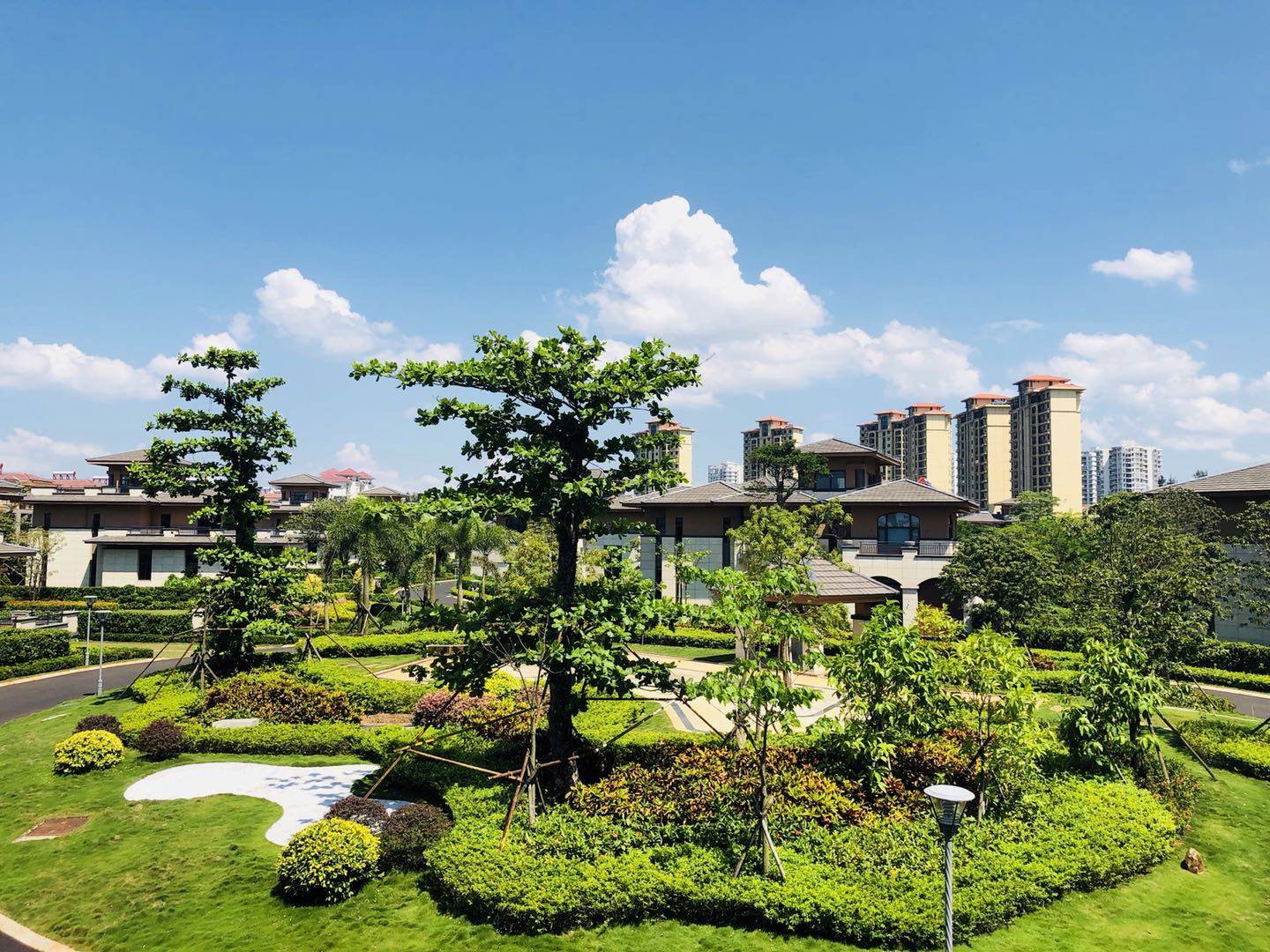 实景图