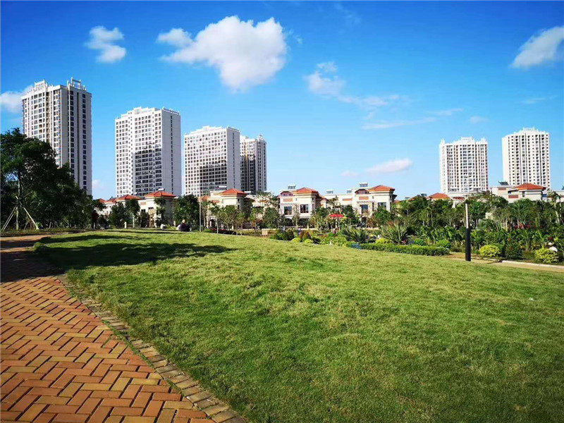实景图