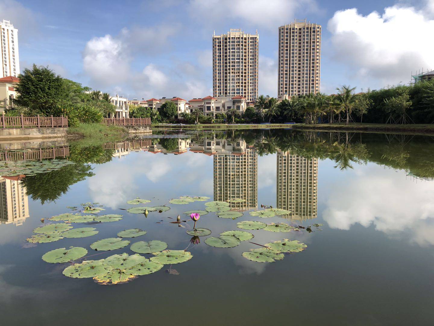 实景图