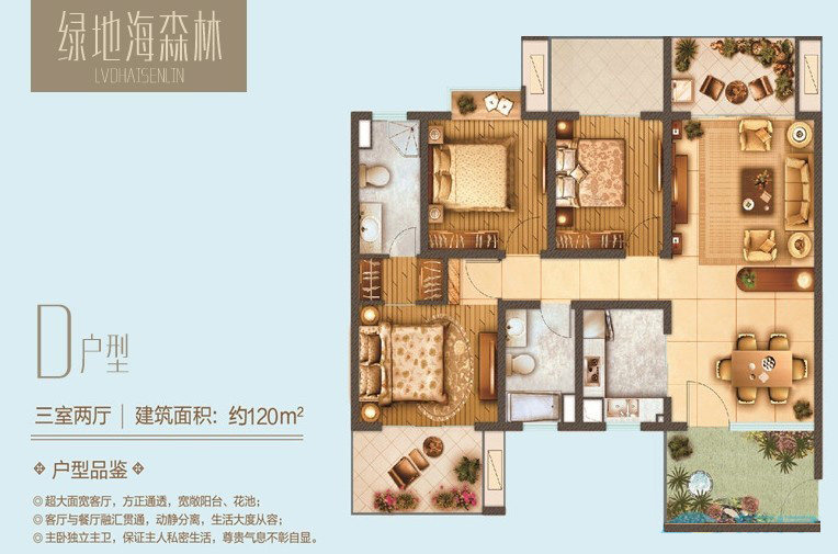 D户型