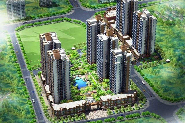 效果图