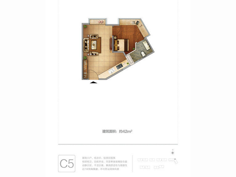 C5户型