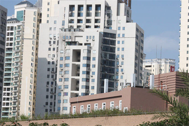 实景图