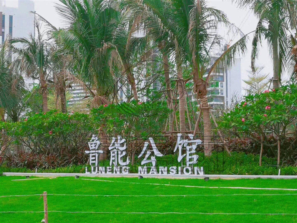 实景图