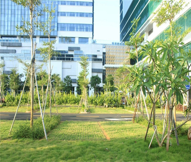 实景图