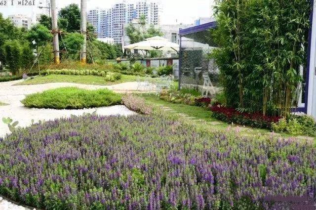 实景图