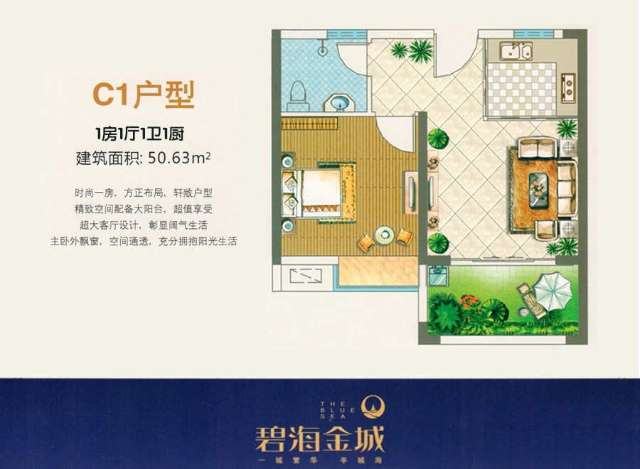 C1户型