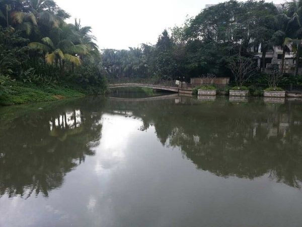 实景图