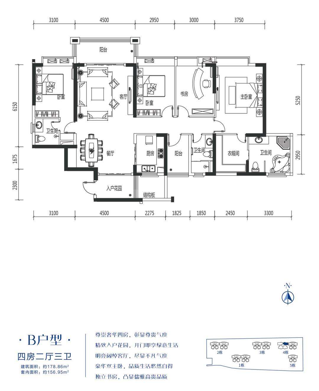 B户型