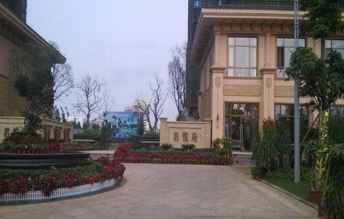实景图