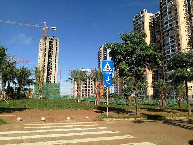 实景图