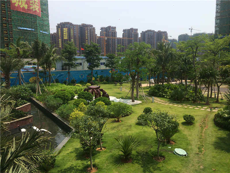 实景图
