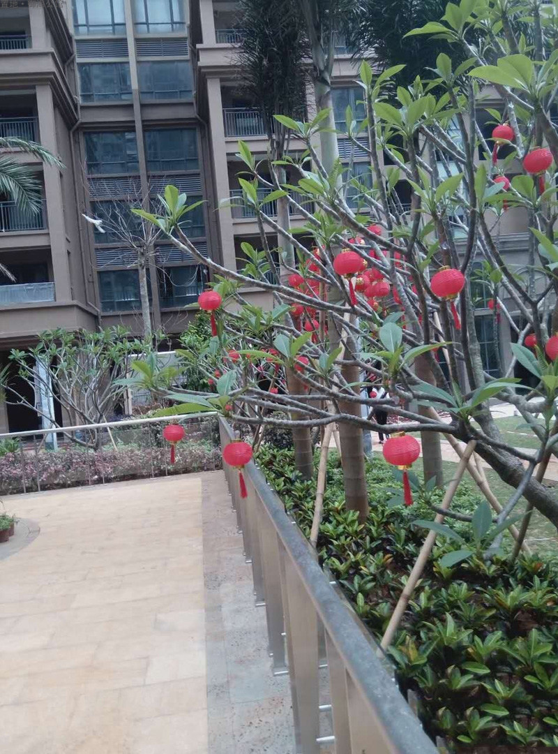 实景图