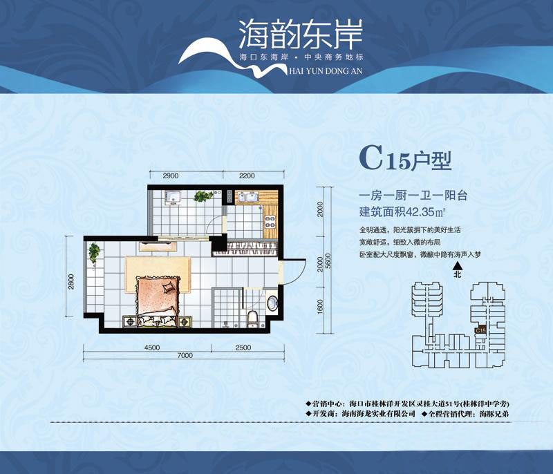 C15户型