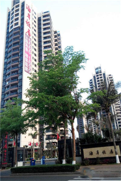 实景图