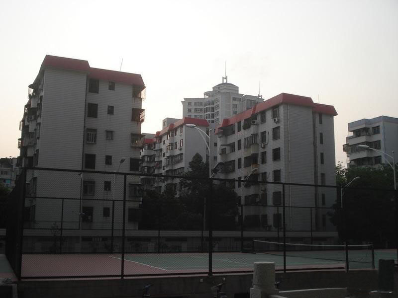 实景图