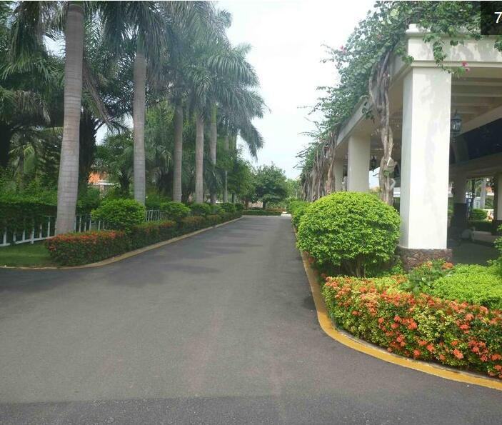实景图