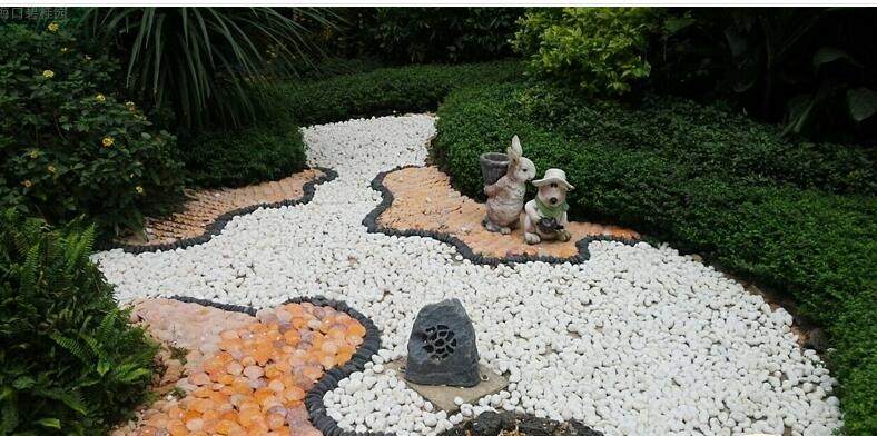 实景图