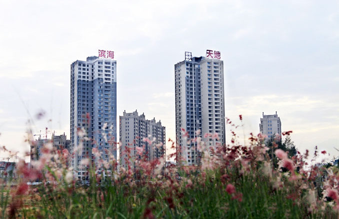 实景图