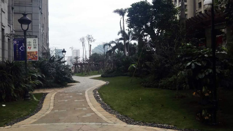 实景图