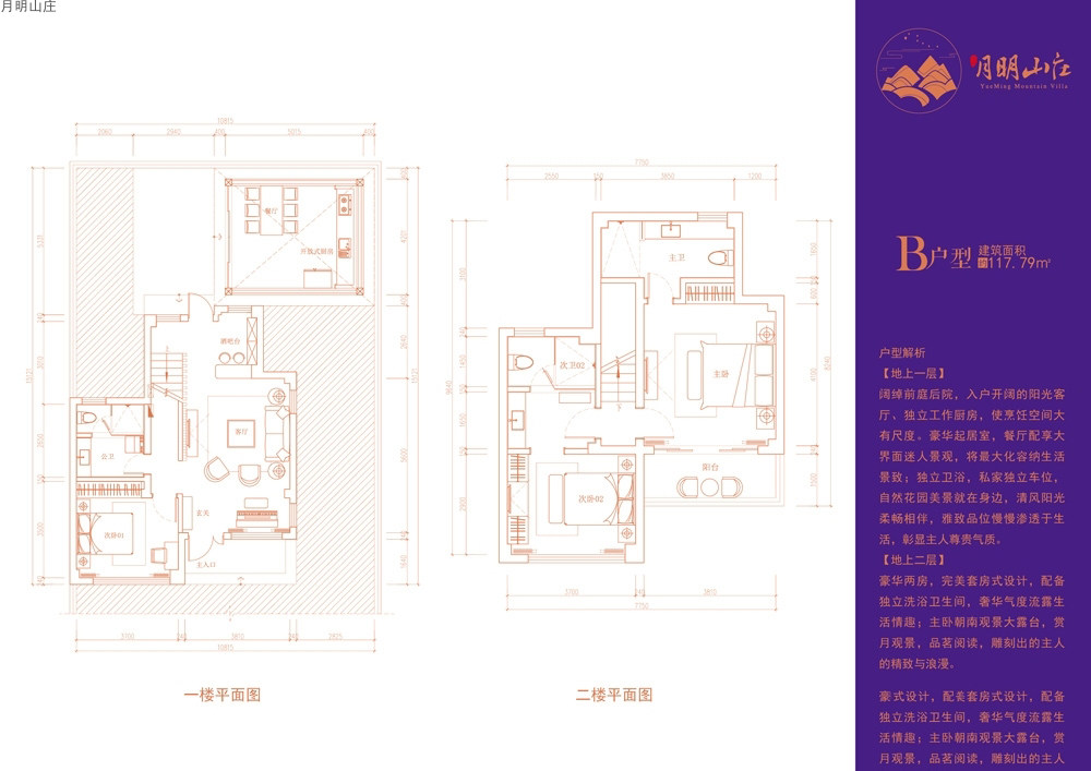 B户型