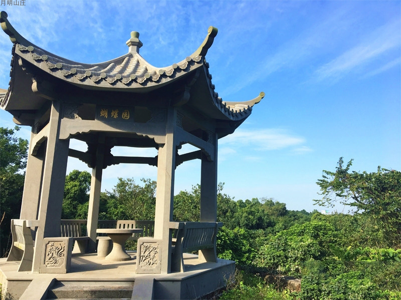 实景图