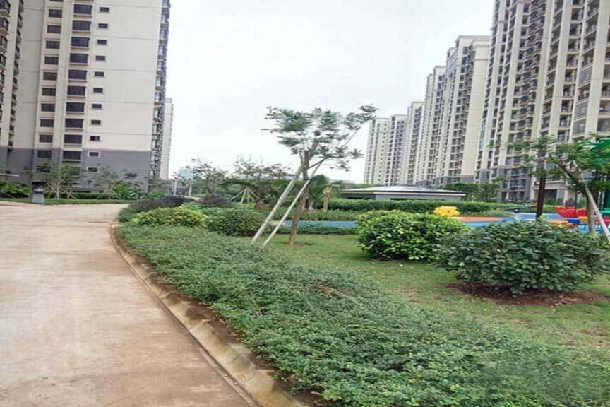 实景图