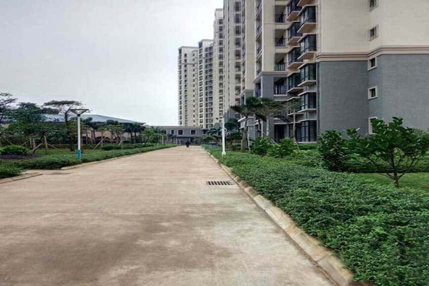 实景图