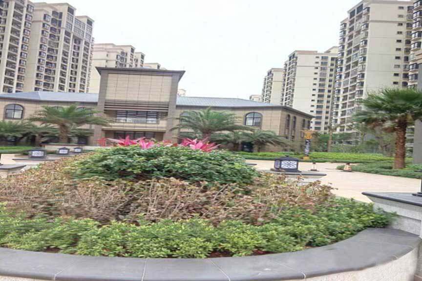 实景图