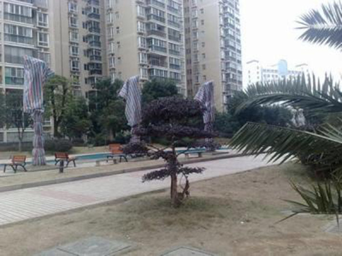 实景图