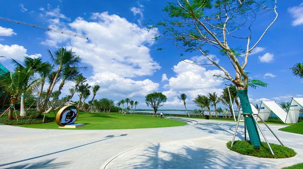 实景图