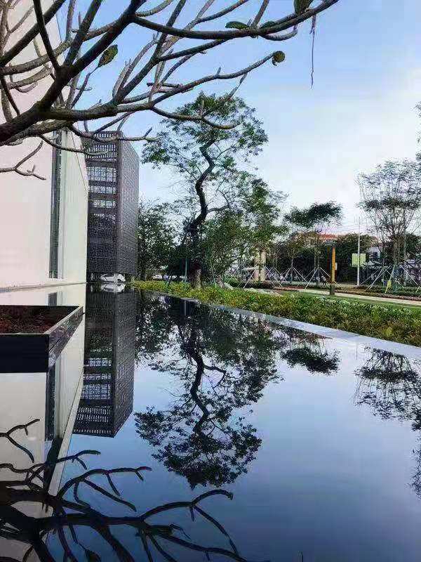 实景图