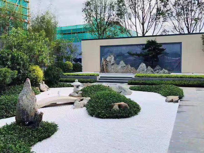 实景图