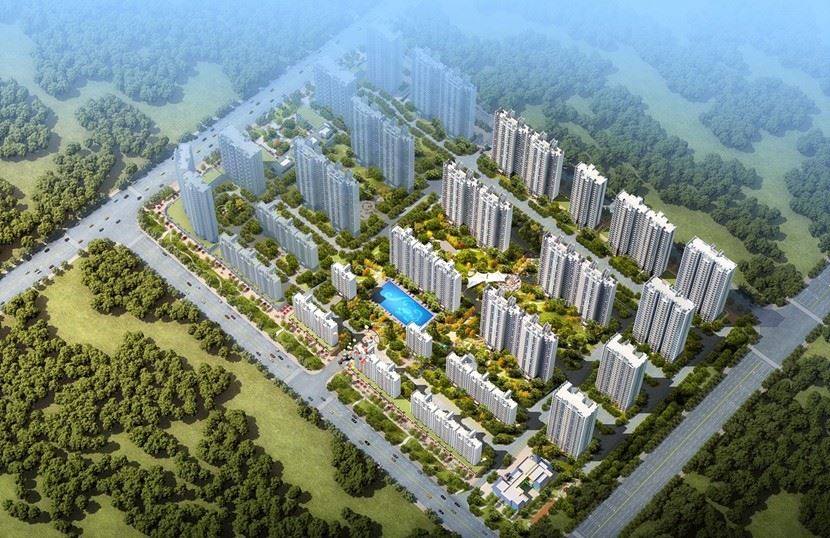 效果图