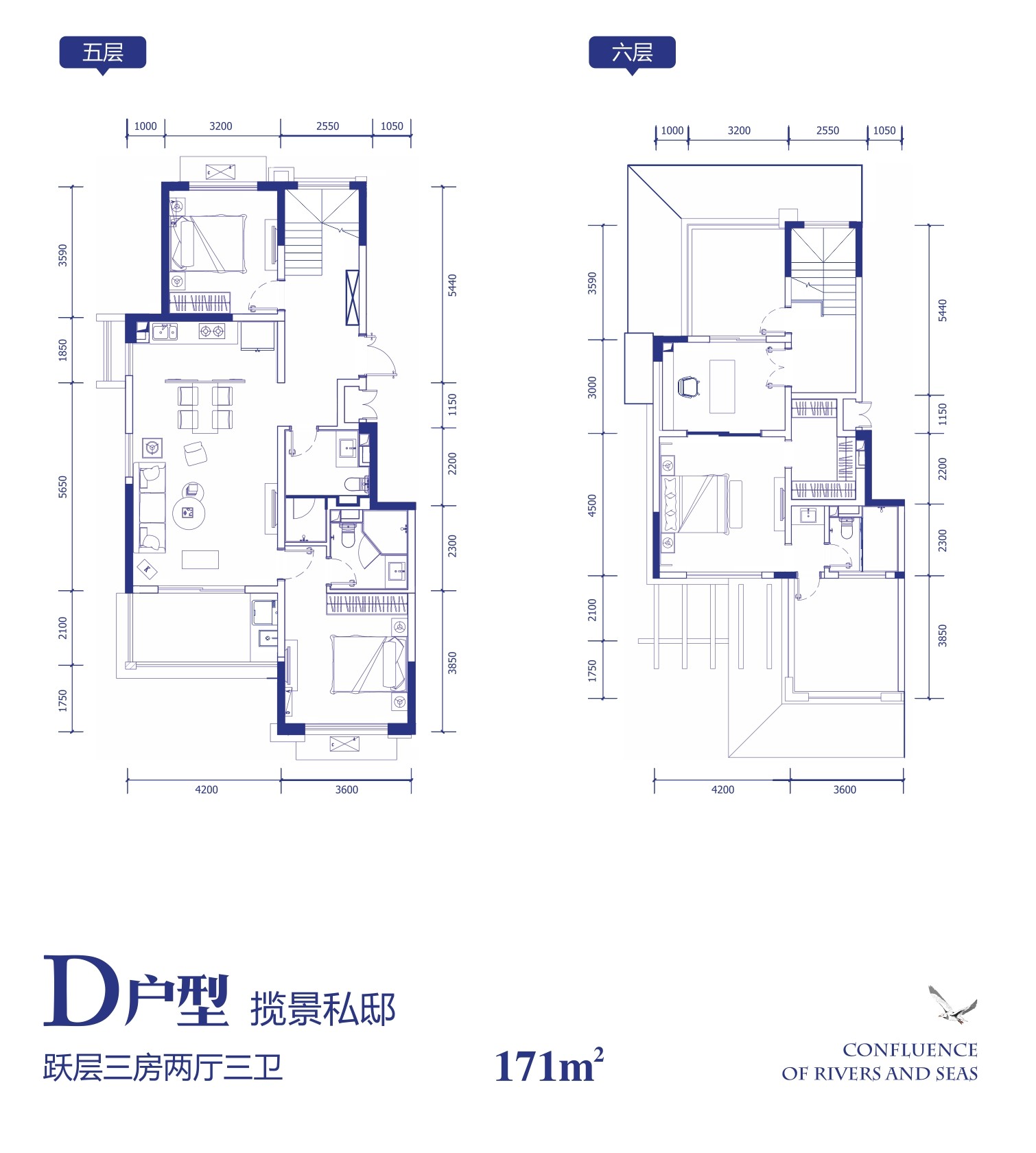 D户型