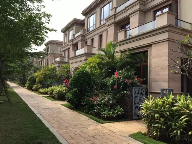 实景图