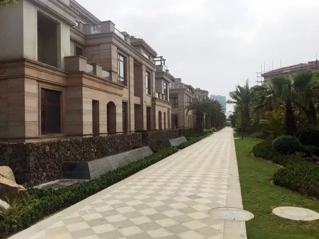 实景图