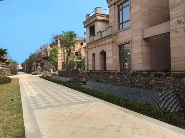 实景图