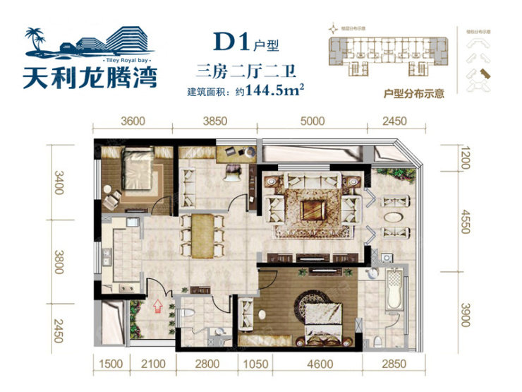 D1户型